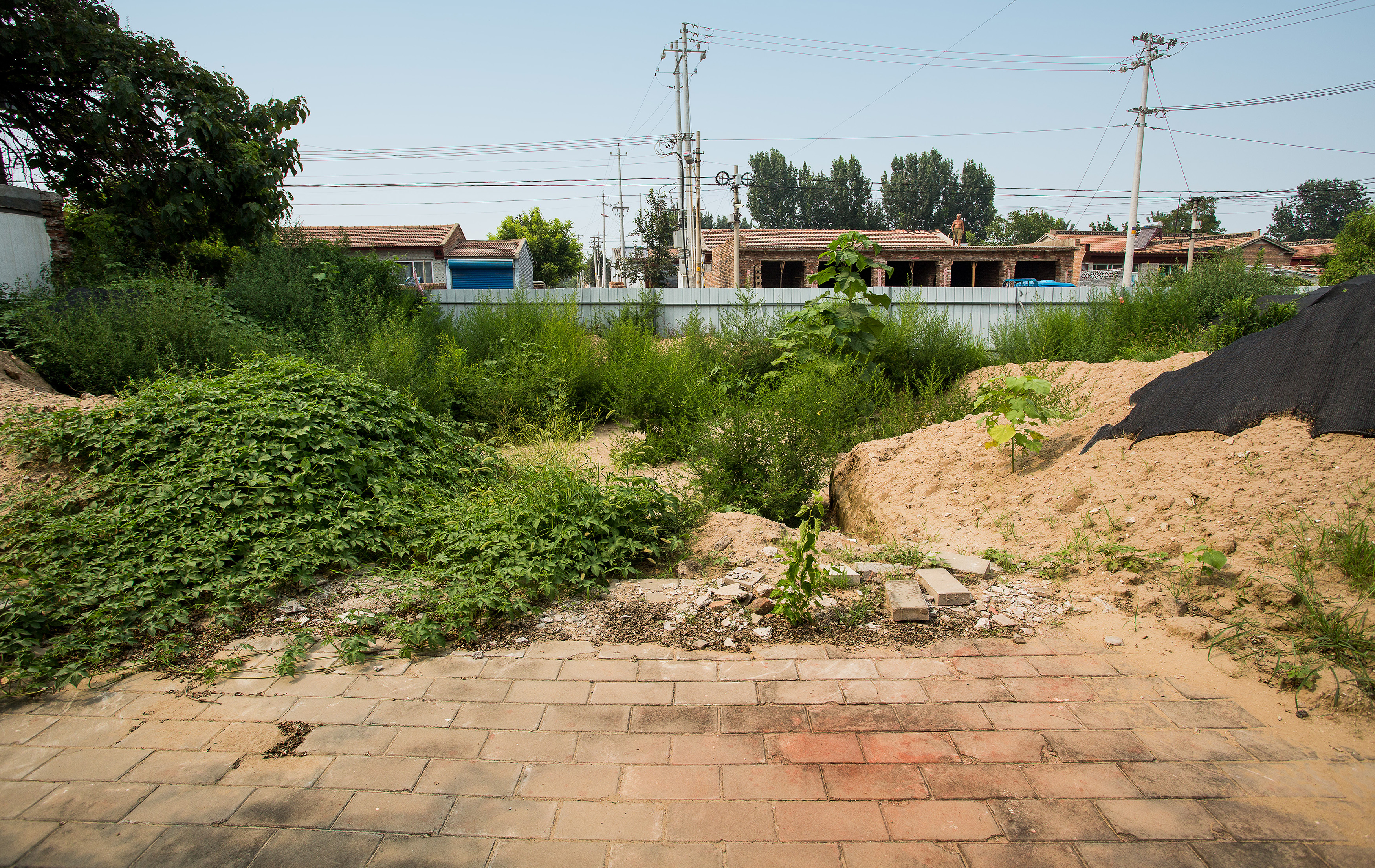 地址:大兴区采育镇辛庄营村. 简短介绍:蔡辛庄菩萨庙,始建年代不详.